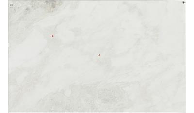 White Rhino Marble