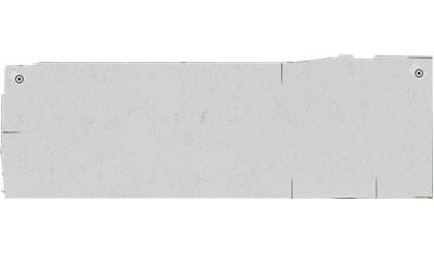 Bianco Carrara TM Quartz