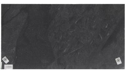 Jet Mist Dual Granite