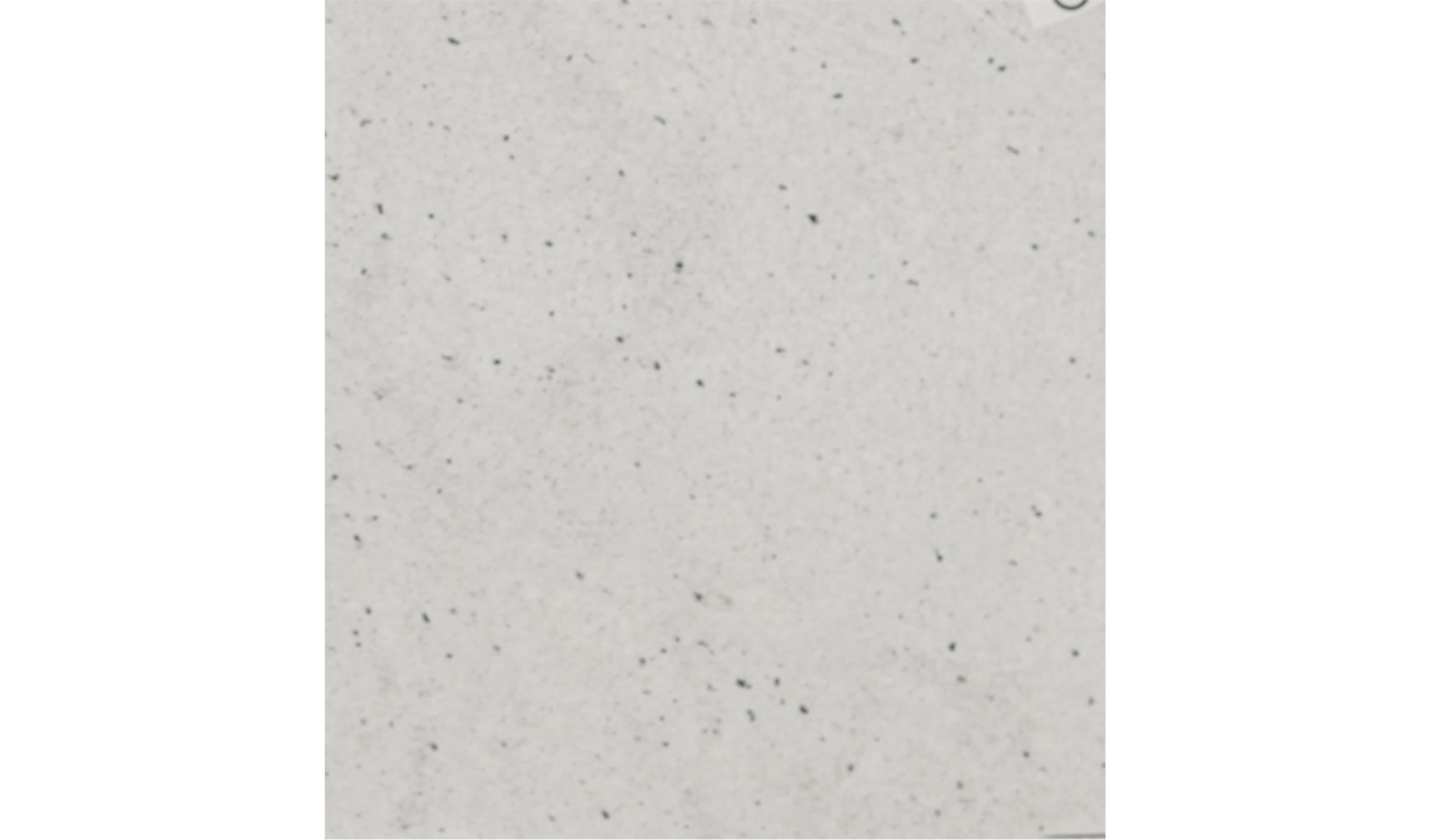 Pitaya White Granite Slabs