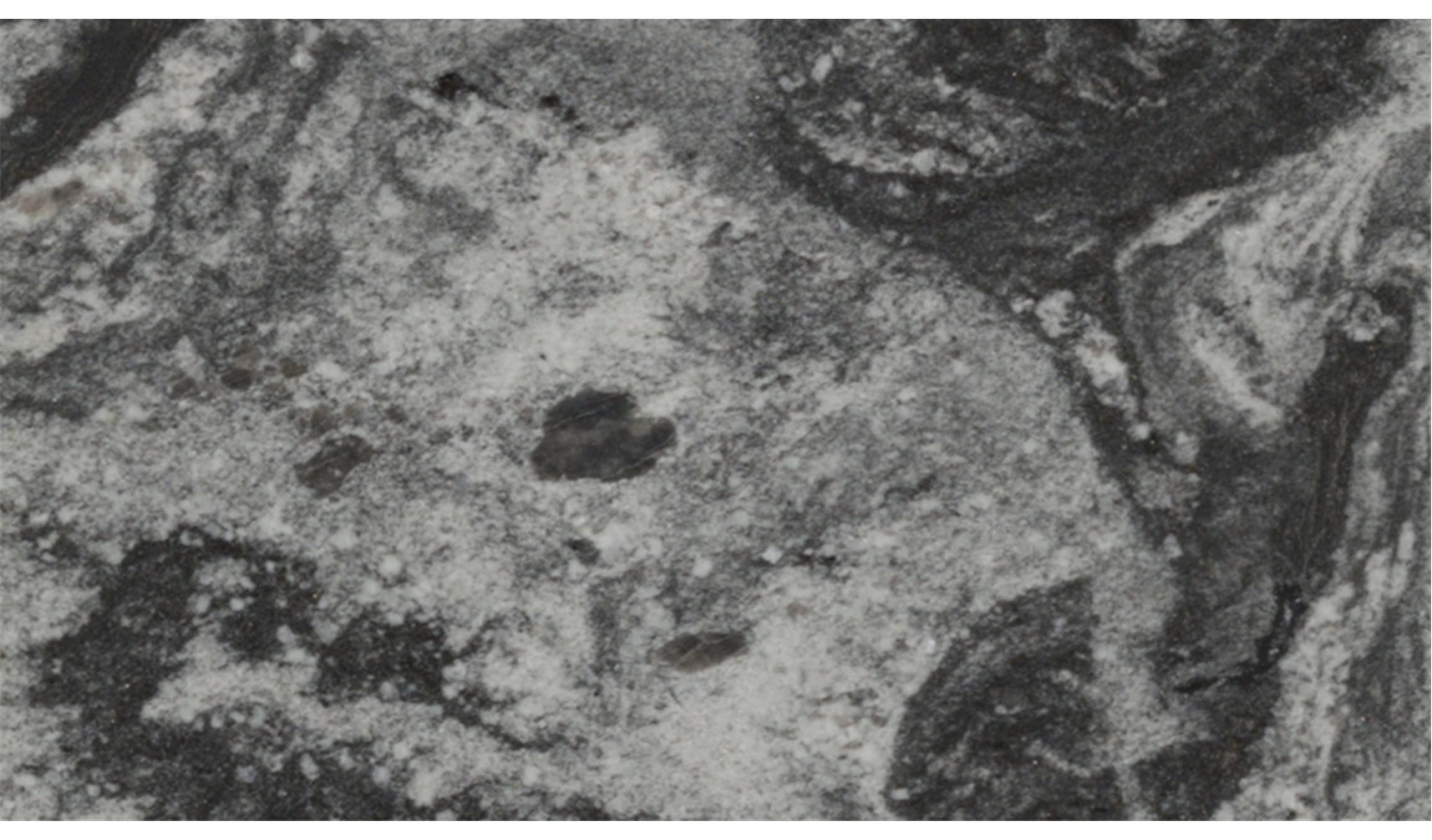 Black Forest Granite Slabs