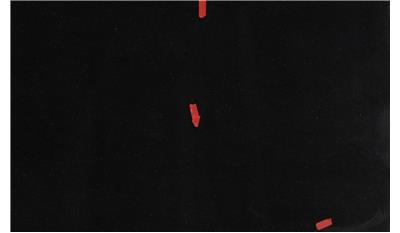 Black San Grabiel Granite