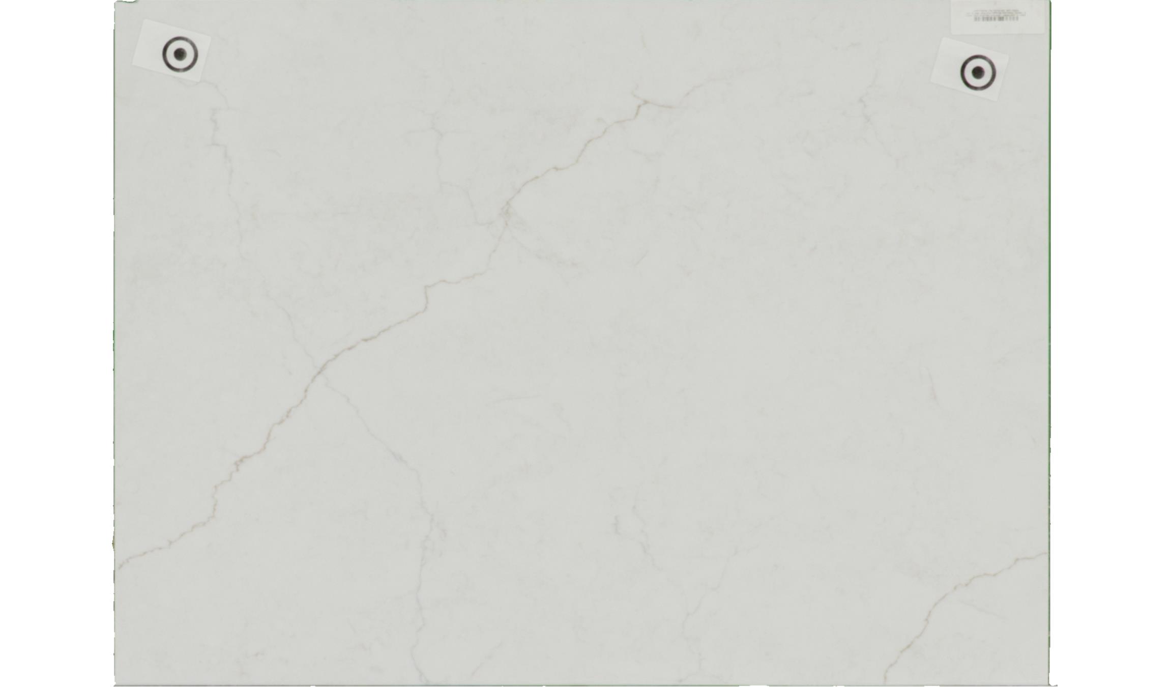 Calacatta Miraggio Duo Q-msi Slabs