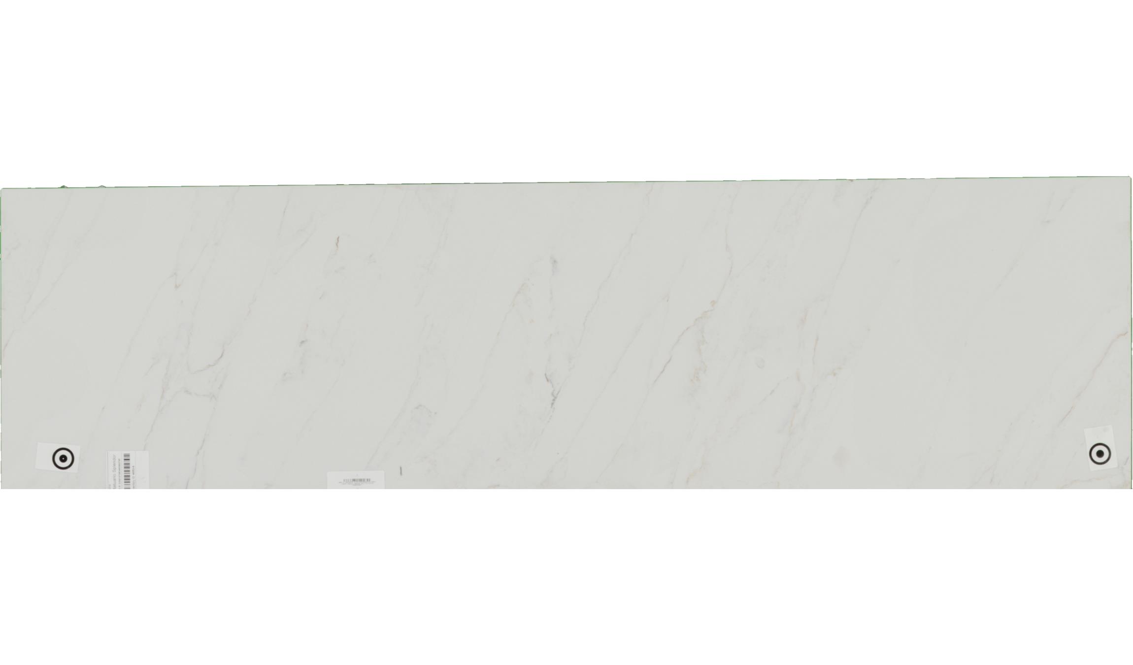 Statuario Splendor Cosmos Quartz Slabs