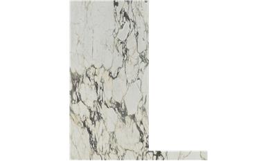Calacatta monet Marble