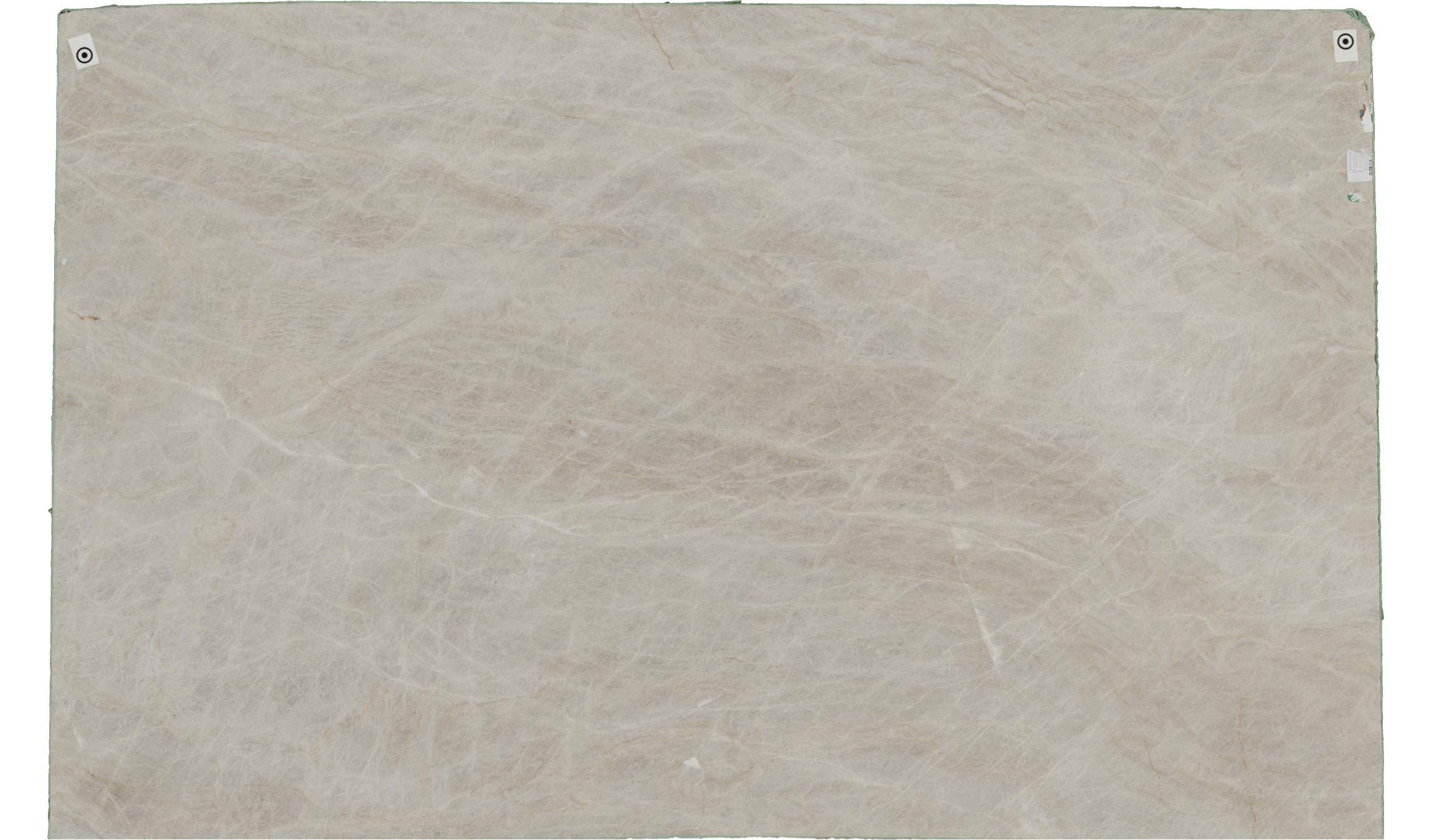 taj mahal Quartzite Slabs