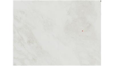 Calacatta Mystery Marble