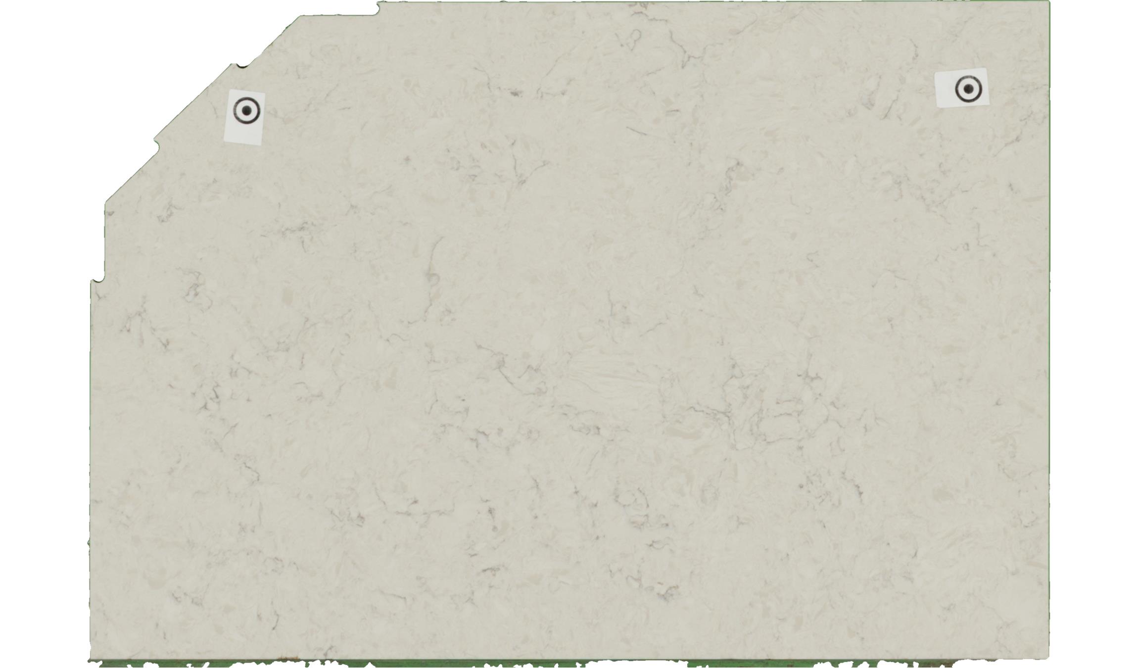 Carrara mist Q-msi Slabs
