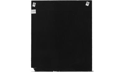 Absolute Black Dual Granite