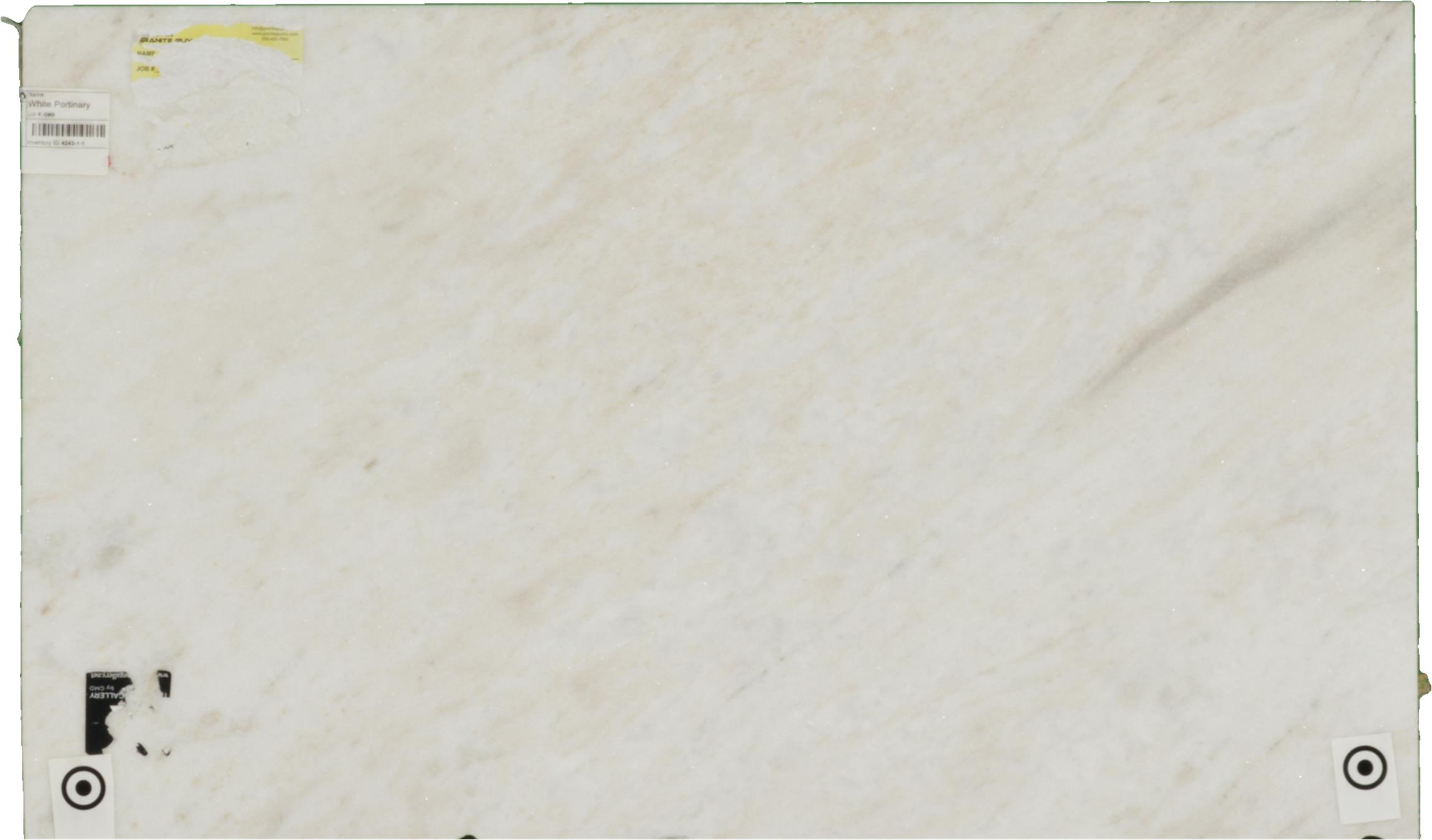White Portinary Marble Slabs