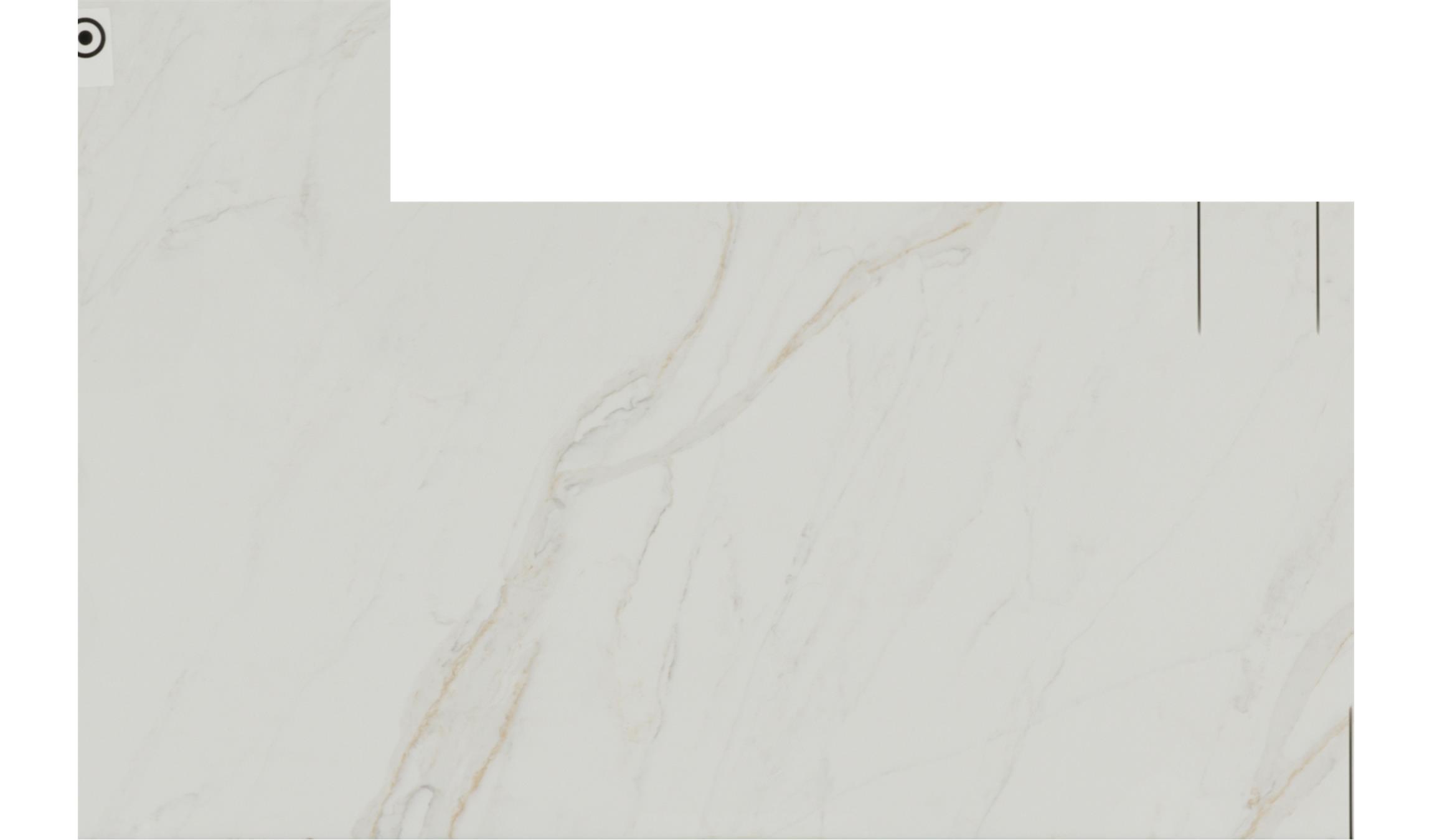 Silverlight SJ Quartz Slabs