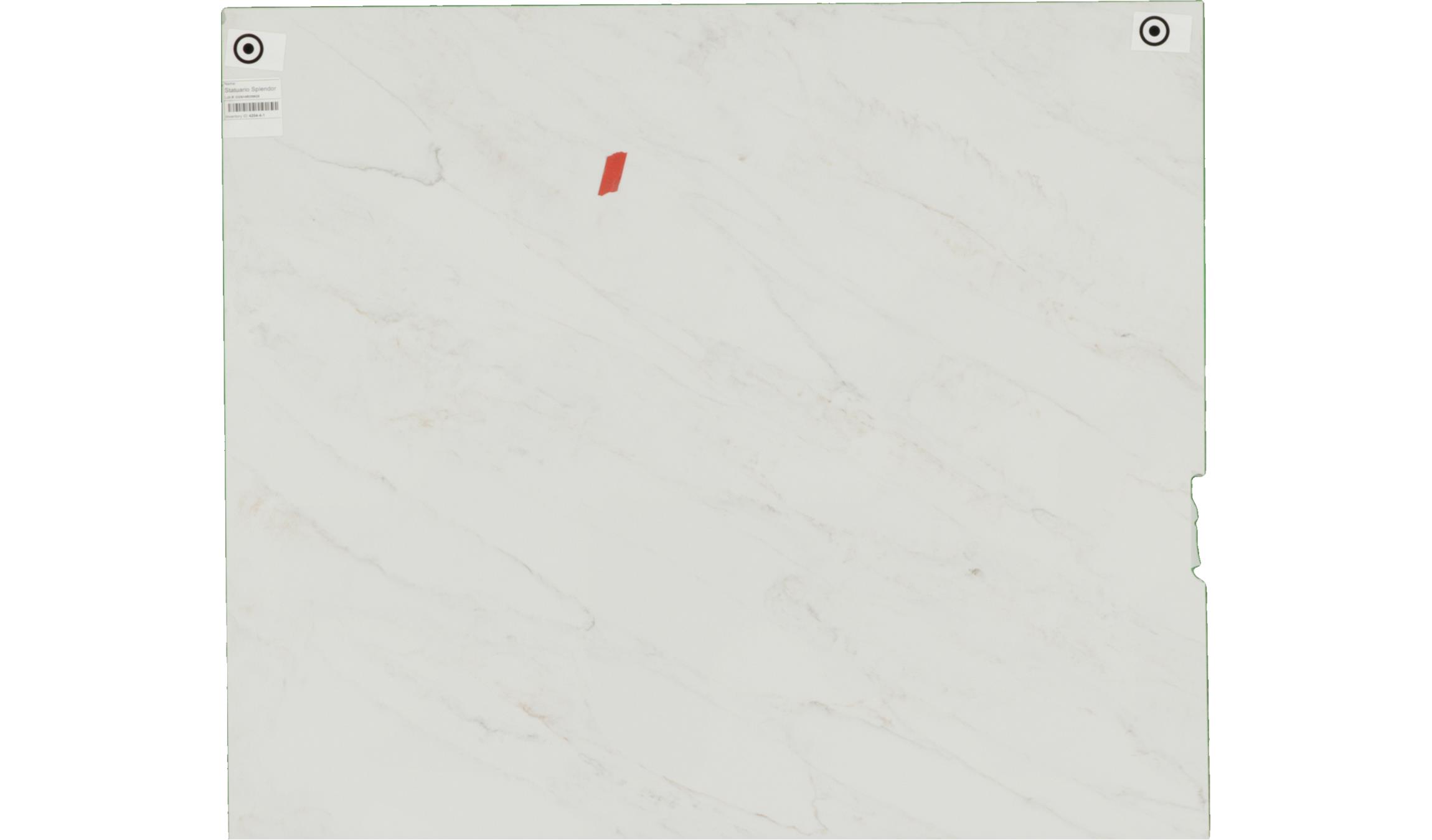 Statuario Splendor Quartz Slabs