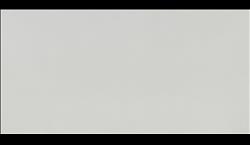 TERAZZO WHITE QUARTZ