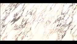 TL Caledonia PORCELAIN