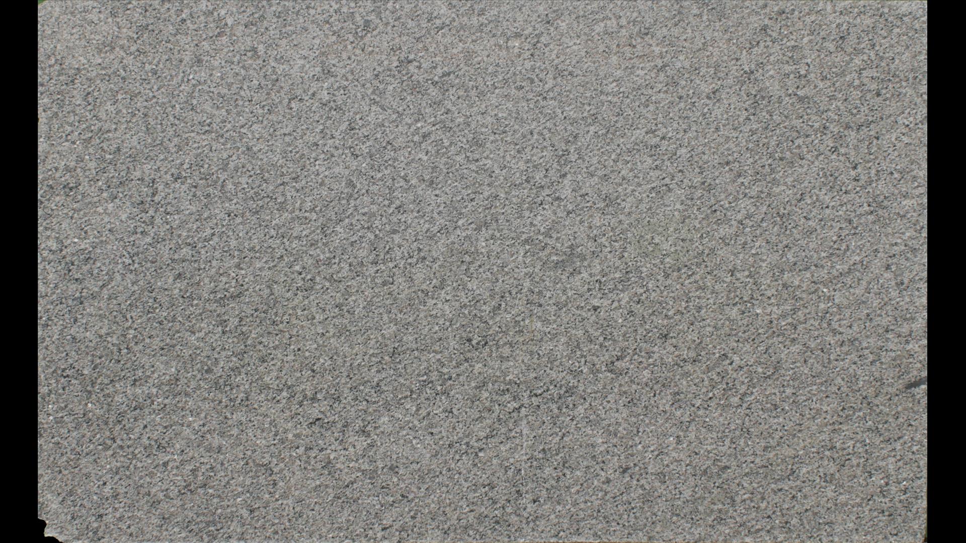 CALEDONIA Granite Slabs
