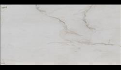 bianco oro PORCELAIN