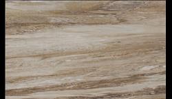 WAYA QUARTZITE