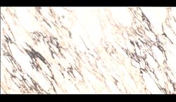 TL Caledonia PORCELAIN