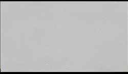 DIAMOND WHITE QUARTZ