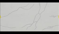 STATUARIO VENATO NUOVA QUARTZ