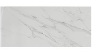 L. Stat. Michelangelo A Porcelain