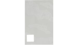 Vico Olympus White Honed Quartz