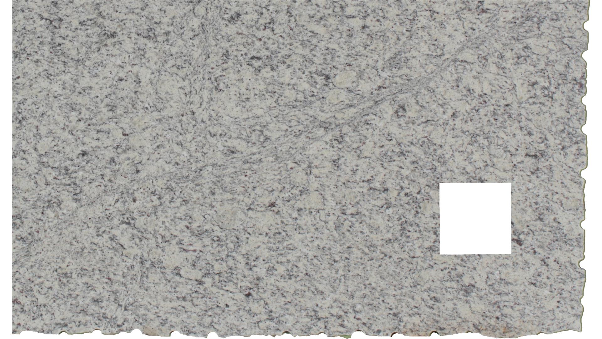 PULTE Scalea White Napoli Granite Slabs
