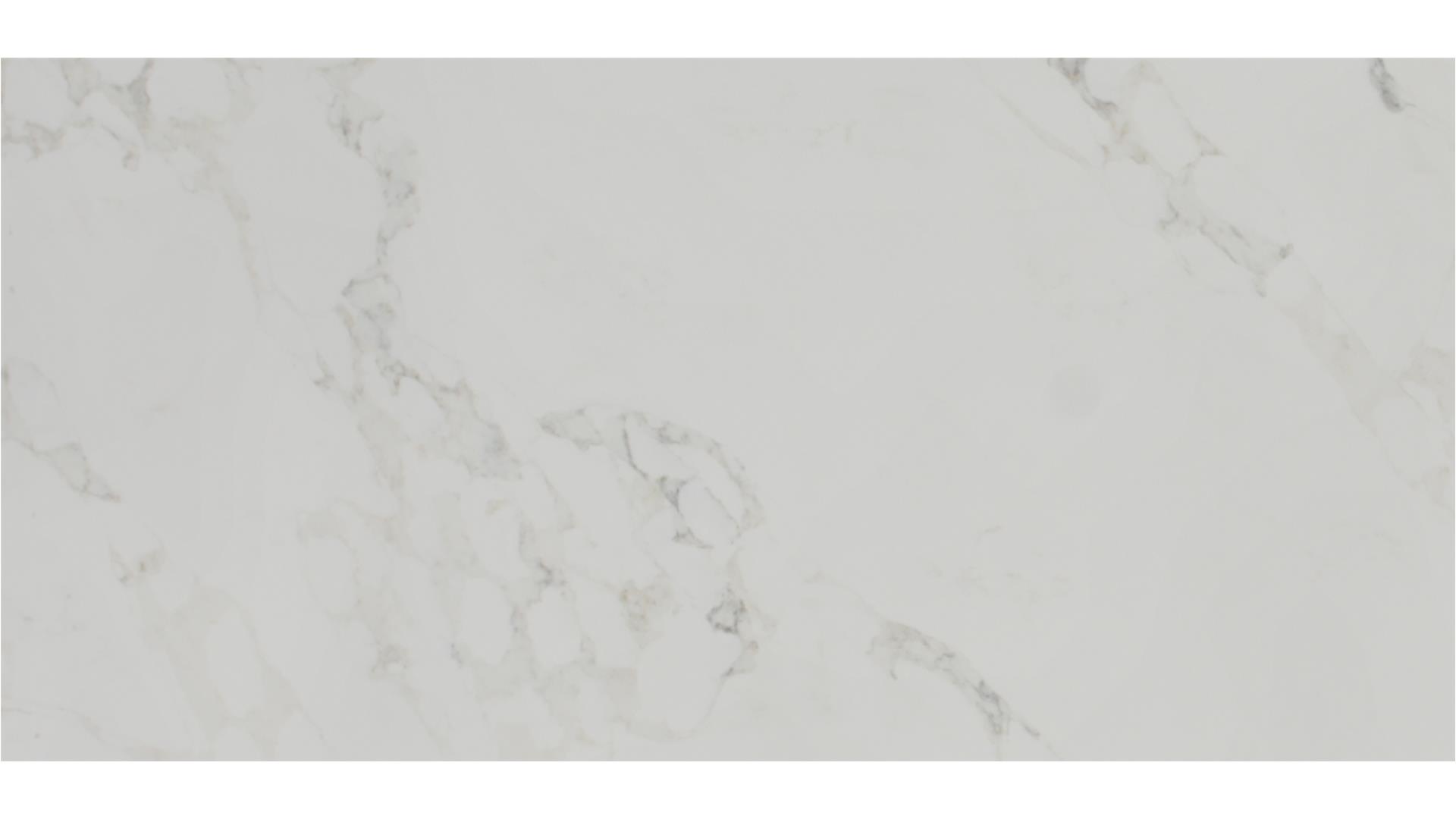 Calacatta Vena Oro Honed Quartz Slabs