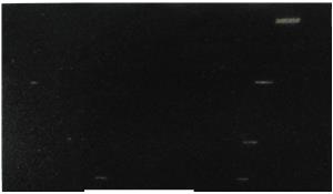 Black Pearl Granite