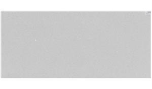 PULTE Stellar Blanco Quartz