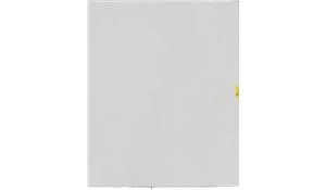 CS- Frosty Carrina Quartz