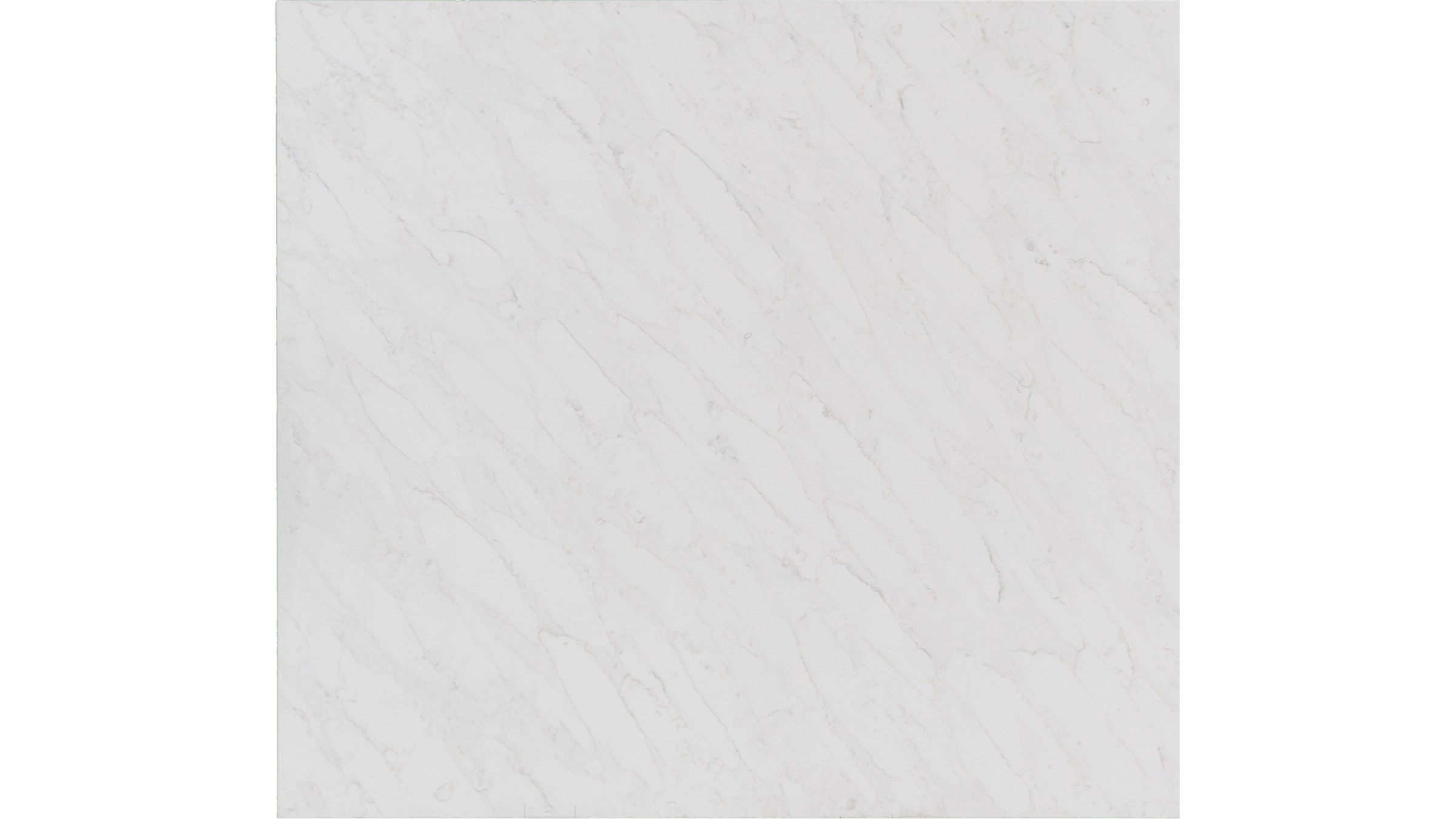 calacatta premata Quartz Slabs