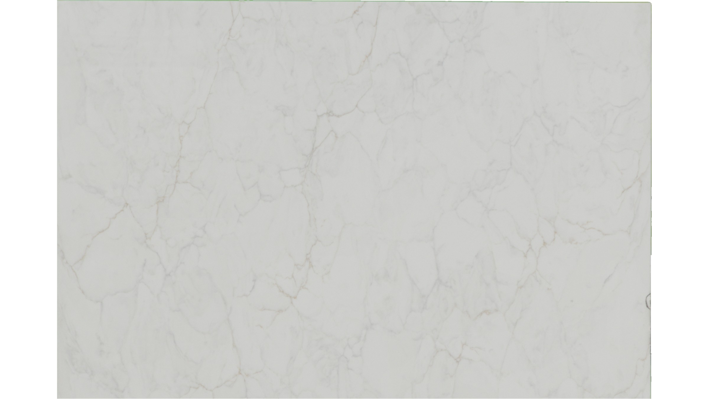 calacatta fioressa Quartz Slabs