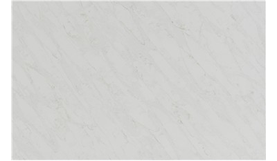 calacatta premata Quartz