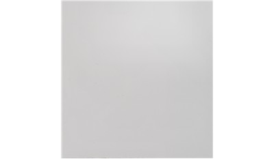 absolute white Quartz