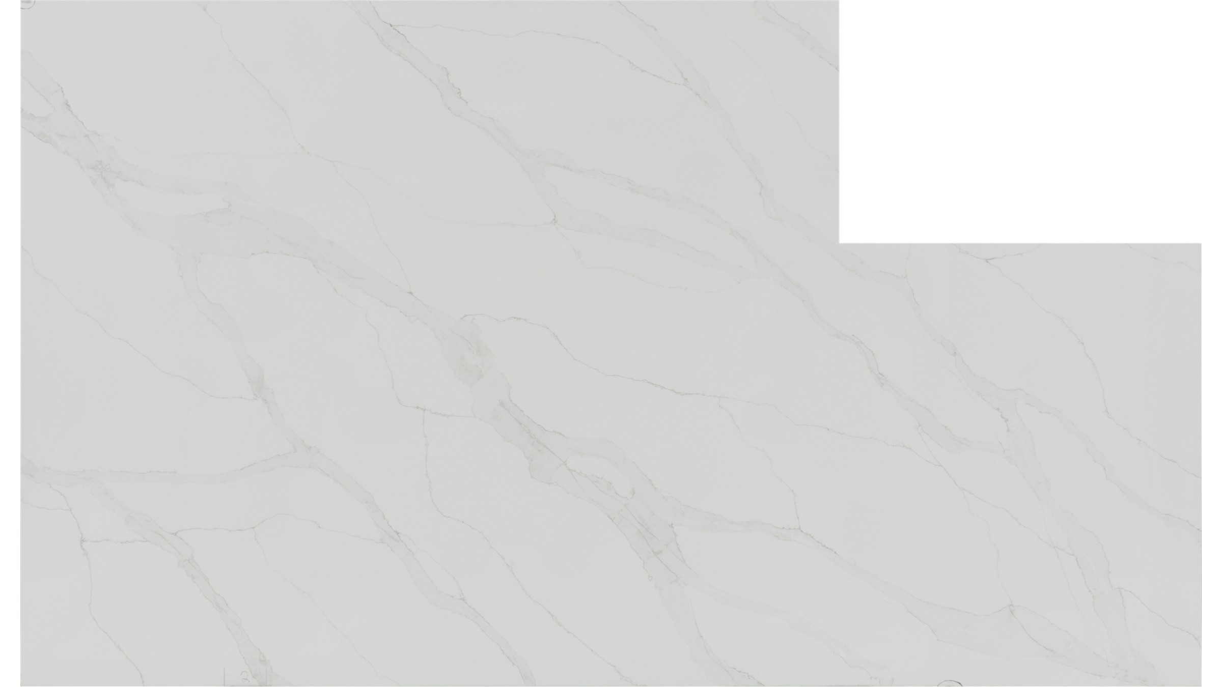 calacatta izaro Quartz Slabs