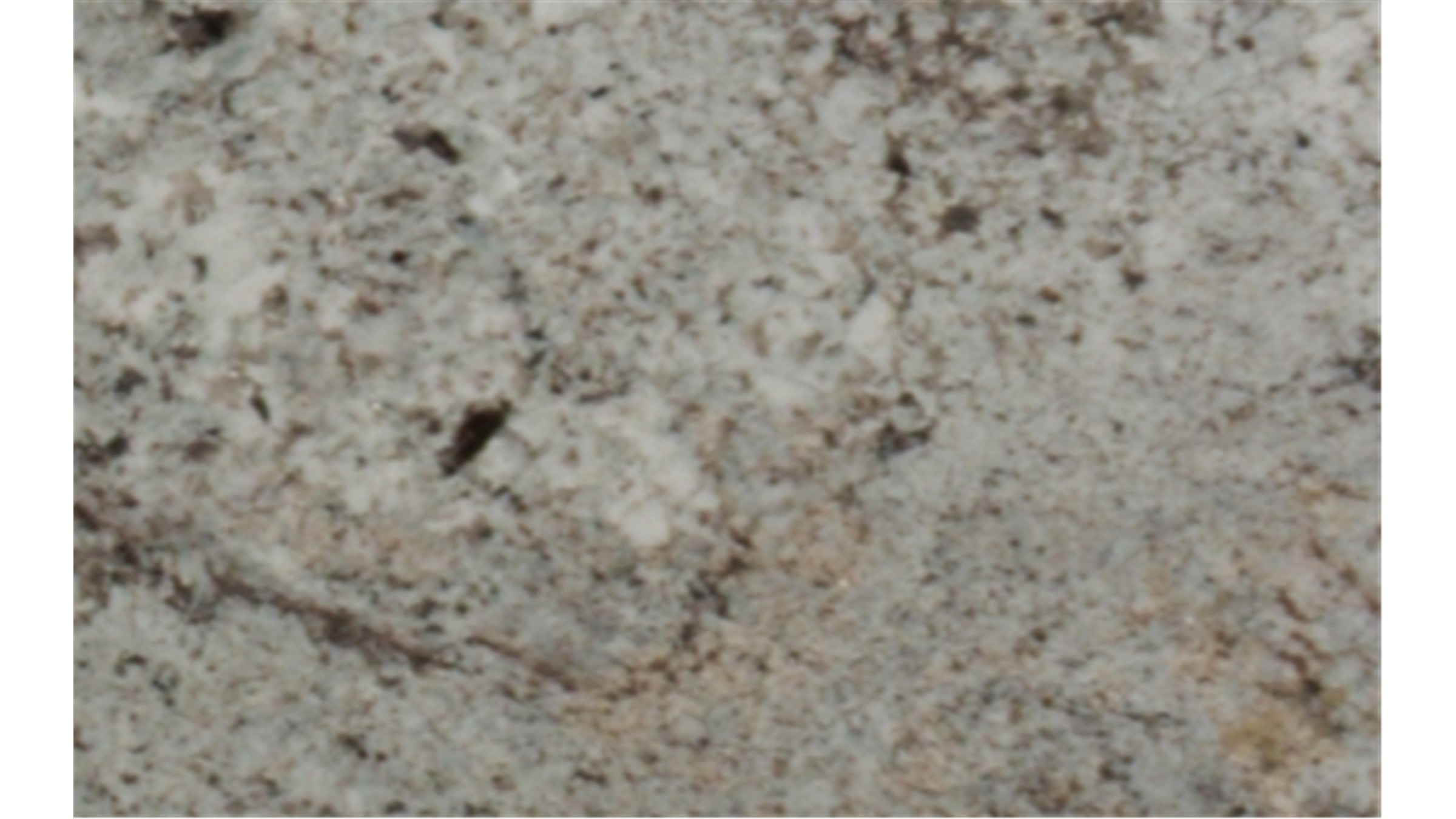 alaska white Granite Slabs