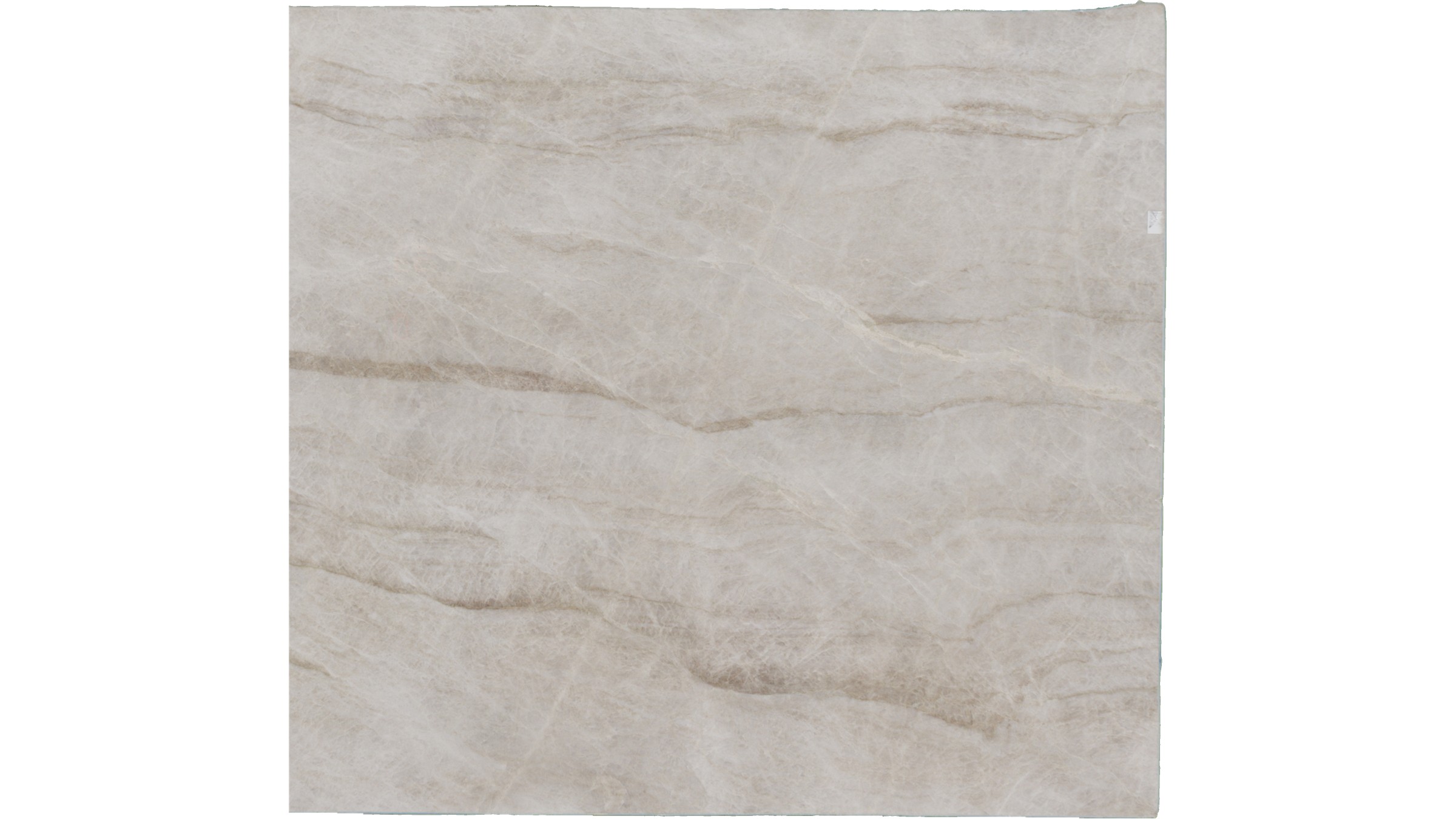 taj mahal Quartzite Slabs