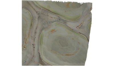 green turtle Quartzite