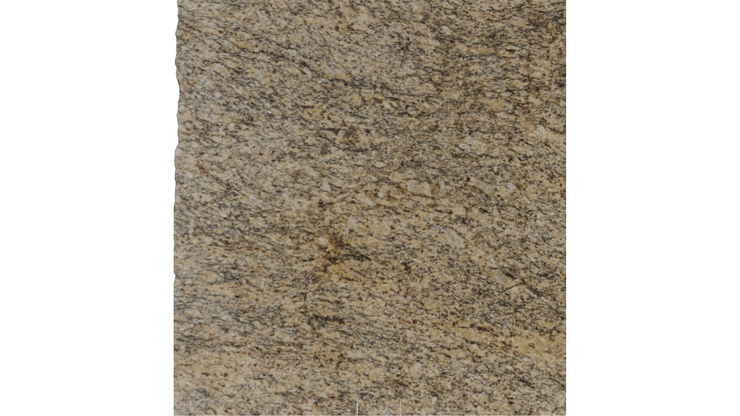 santa cecelia Granite Slabs