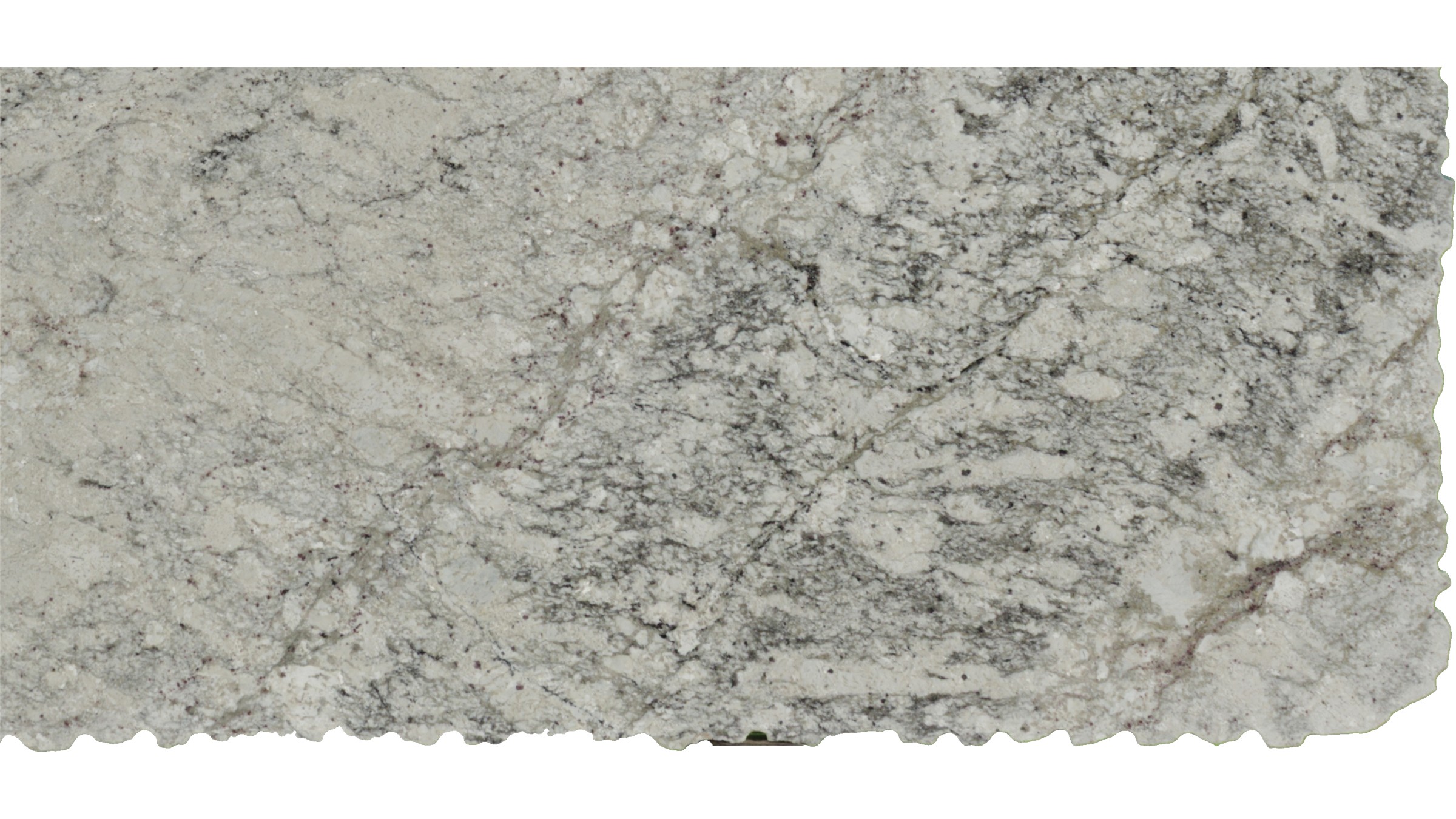 bianco romano Granite Slabs