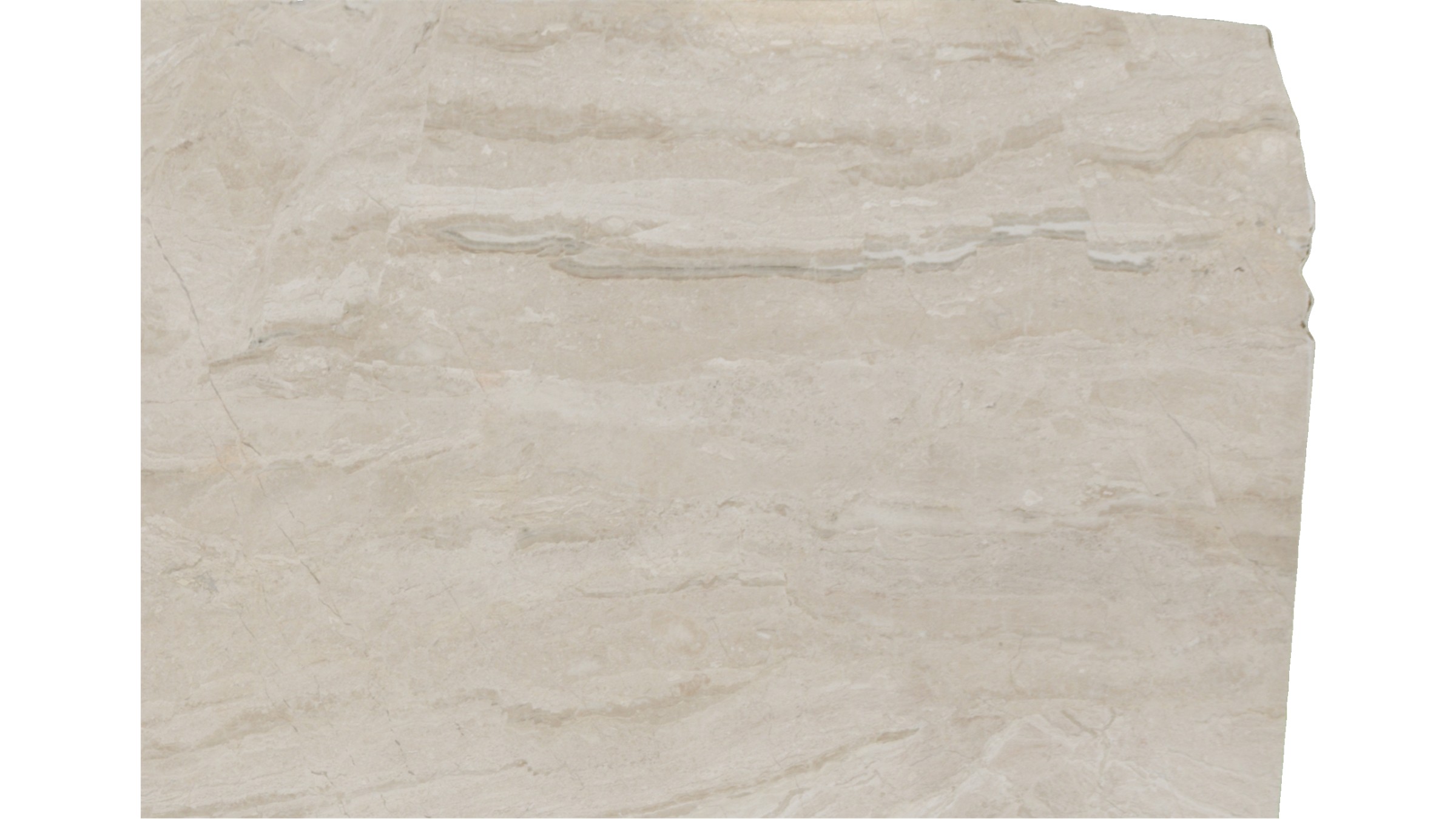 diana royal Marble Slabs