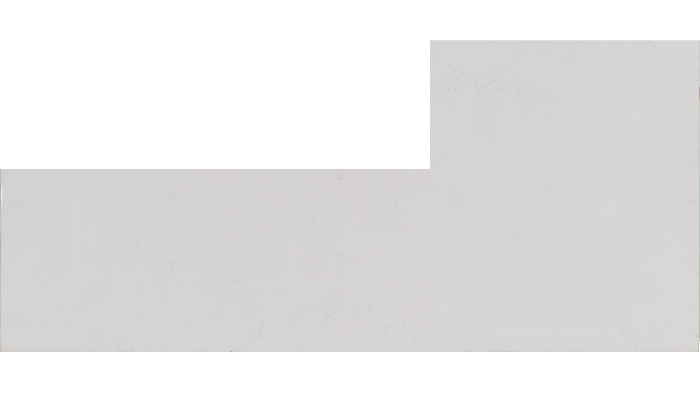calacatta botanica Quartz Slabs