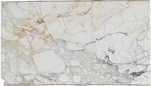 Paonazzo Gold Marble