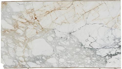 Paonazzo Gold Marble