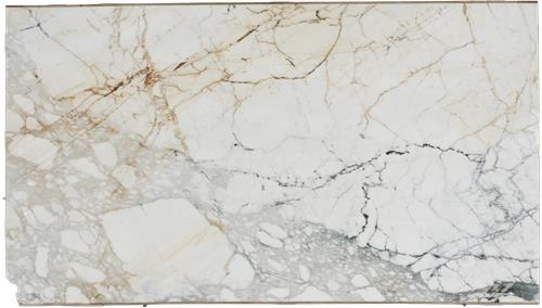 Paonazzo Gold Marble