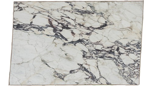 Calacatta Viola Extra Marble