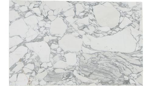Arabescato Corchia Marble