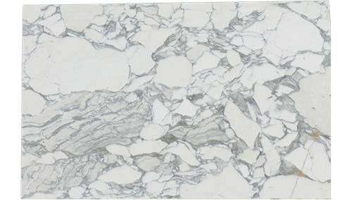 Arabescato Corchia Marble
