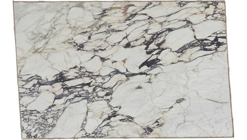 Calacatta Viola Extra Marble